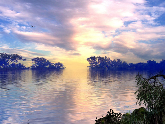 Lake bird flying trees sunset #2 free wallpaper for desktop - medium preview image