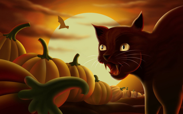 Cat pumpkin patch full moon #2 free wallpaper for desktop - medium preview image