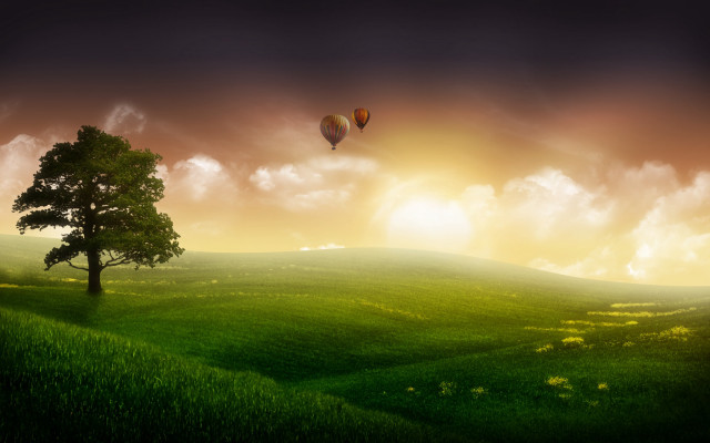 Tree hot air balloon field free wallpaper for desktop - medium preview image