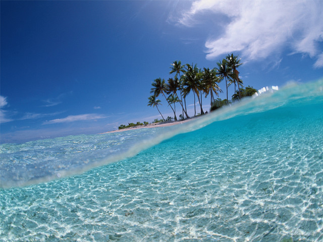 Wave beach palm trees blue free wallpaper for desktop - medium preview image