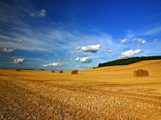 Hay field bales blue sky #3 free wallpaper for desktop - medium preview image