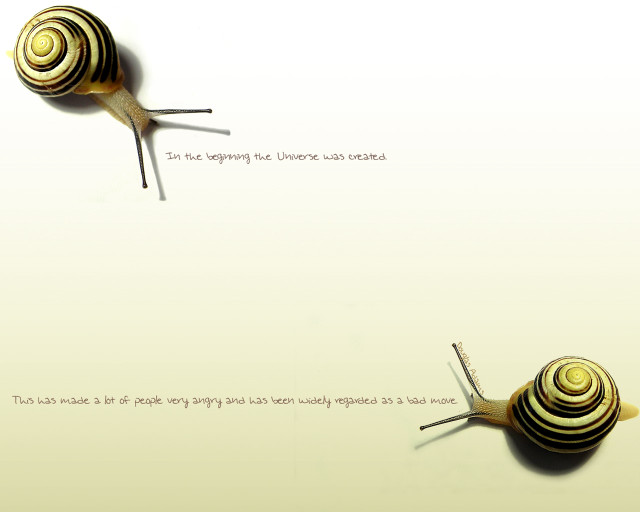 Snail caption middle image caption free wallpaper for desktop - medium preview image