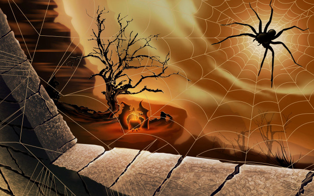 Spider web tree fire sky free wallpaper for desktop - medium preview image