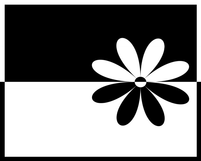 Black white flower black background free wallpaper for desktop - medium preview image