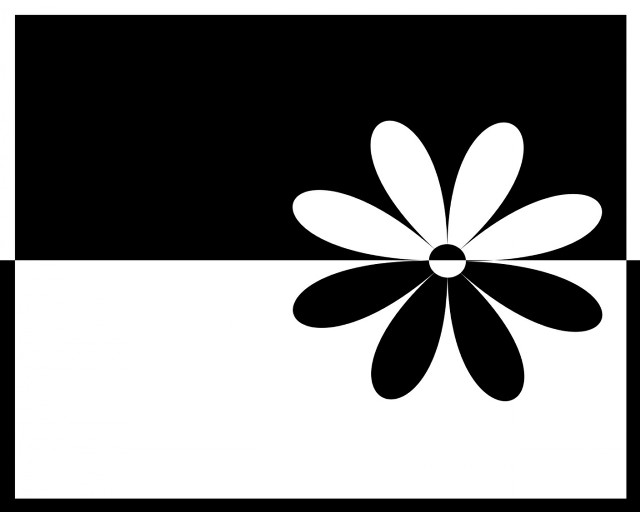 Black white flower black background #2 free wallpaper for desktop - medium preview image