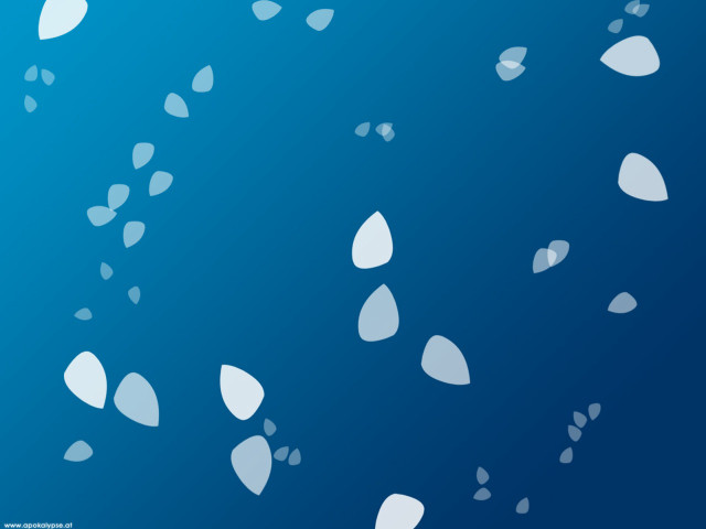 Blue background white leaves floating #3 free wallpaper for desktop - medium preview image