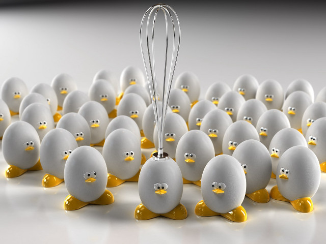 White eggs yellow beaks whisk #4 free wallpaper for desktop - medium preview image