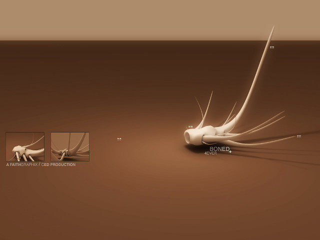 Cat tail bones background smaller free wallpaper for desktop - medium preview image