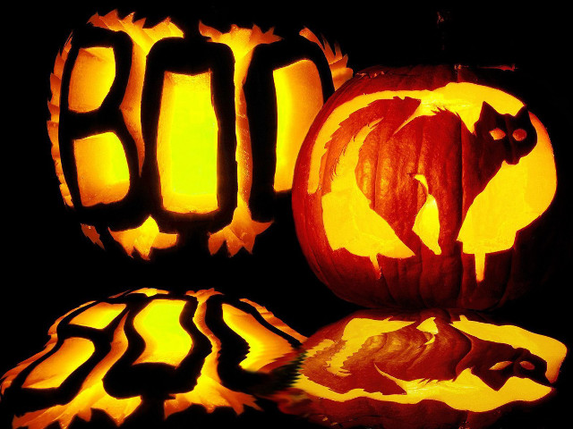 Pumpkins table cat face #2 free wallpaper for desktop - medium preview image