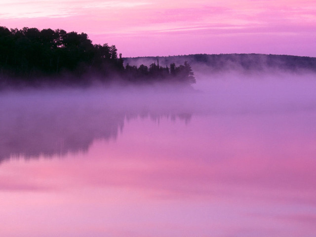 Pink sky trees water fog #3 free wallpaper for desktop - medium preview image