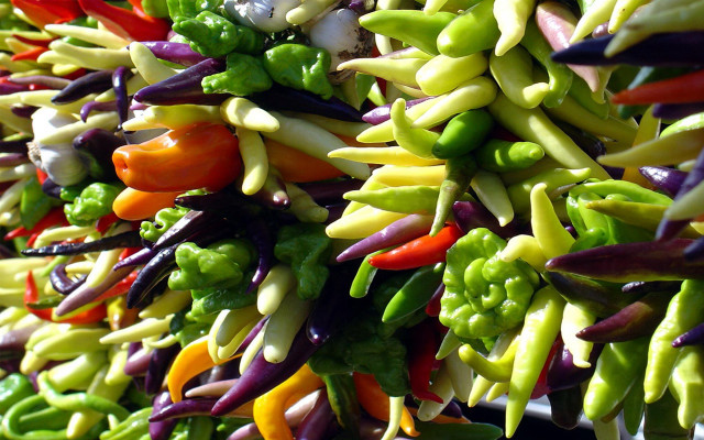 Colored peppers vegetables table white free wallpaper for desktop - medium preview image