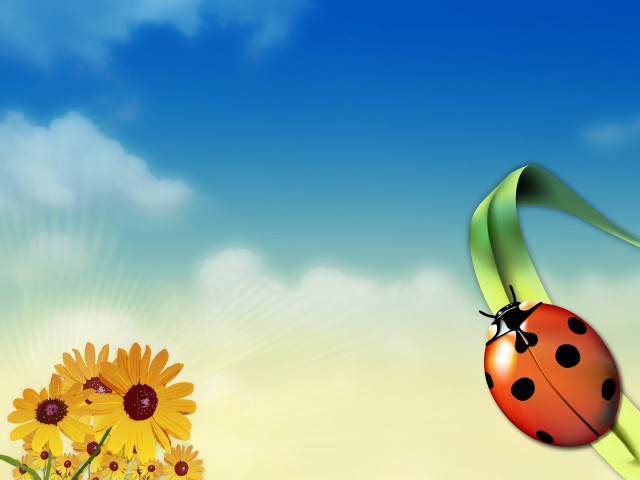 Ladybug flower sunflower blue sky #4 free wallpaper for desktop - medium preview image