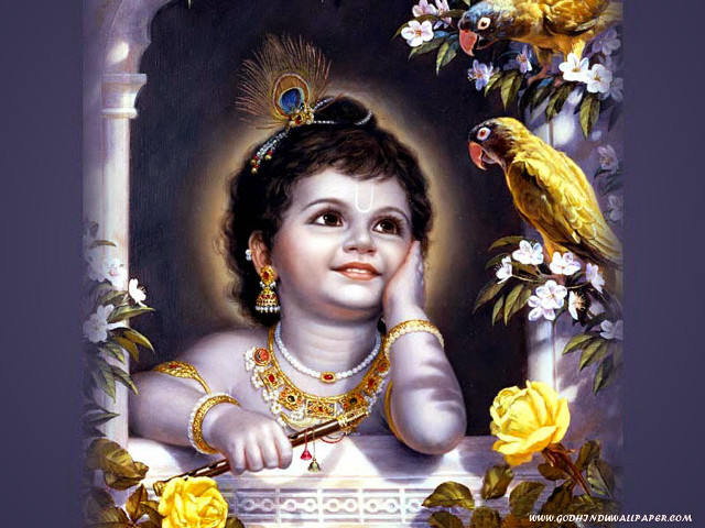 Child bird parrot shoulder painting free wallpaper for desktop - medium preview image