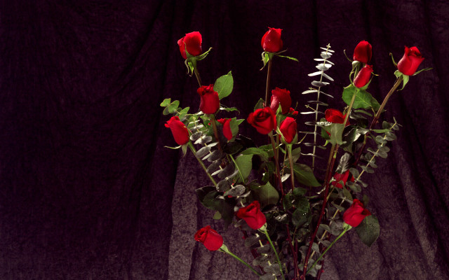 Vase red roses still life free wallpaper for desktop - medium preview image