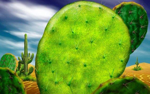 Green cactus sky background clouds free wallpaper for desktop - medium preview image