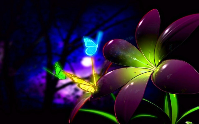 Flower butterfly night tree background free wallpaper for desktop - medium preview image