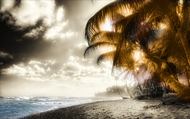 Palm tree beach cloudy sky #5 free wallpaper for desktop - medium preview image