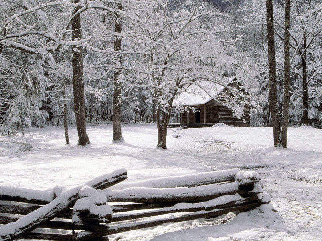 Log fence snow cabin trees #2 free wallpaper for desktop - medium preview image