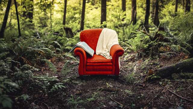Red chair forest blanket book free wallpaper for desktop - medium preview image