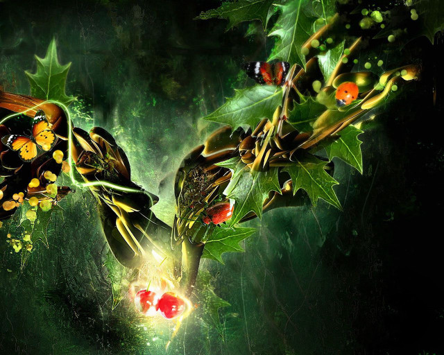 Holly leaves berries light dark free wallpaper for desktop - medium preview image