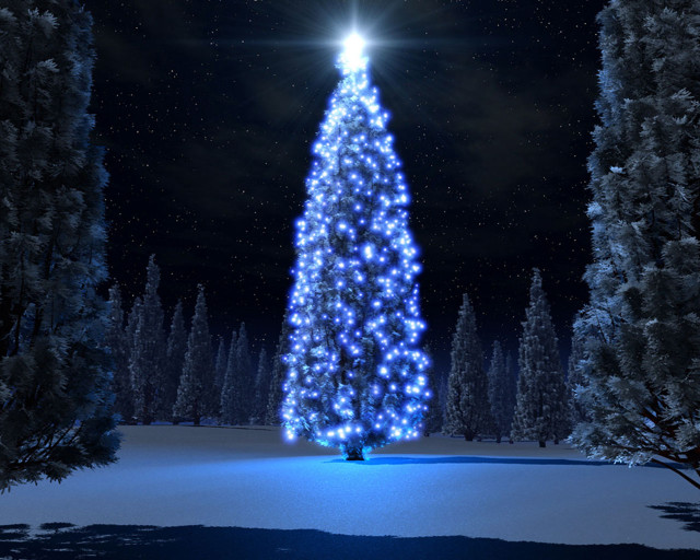 Christmas tree lit snow night #5 free wallpaper for desktop - medium preview image