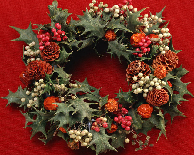 Holly wreath christmas decorations festive free wallpaper for desktop - medium preview image