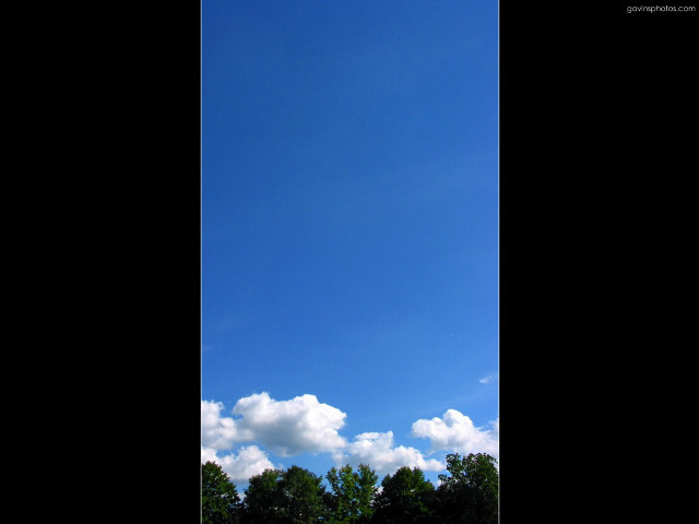 Large kite flying sky trees free wallpaper for desktop - medium preview image