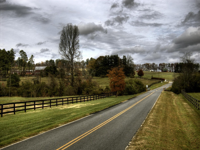 Road fence field trees grass #6 free wallpaper for desktop - medium preview image
