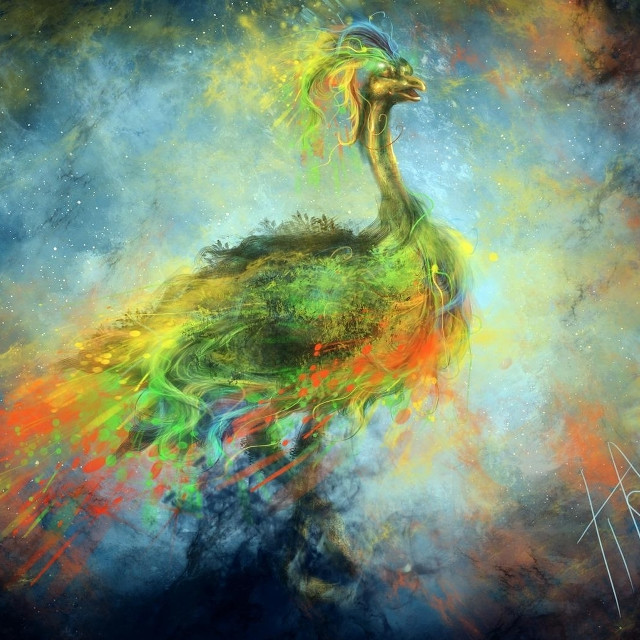 Peacock colorful background blue sky free wallpaper for tablet - medium preview image