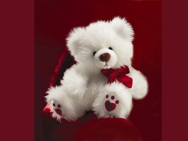White teddy bear red bowtie free wallpaper for desktop - medium preview image