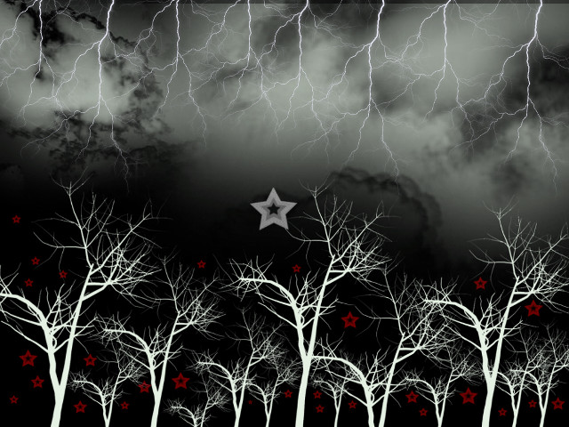 Star dark sky trees foreground free wallpaper for desktop - medium preview image