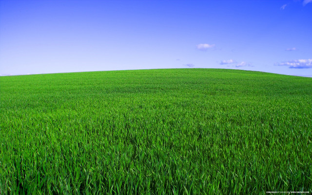Green grass blue sky clouds #15 free wallpaper for desktop - medium preview image