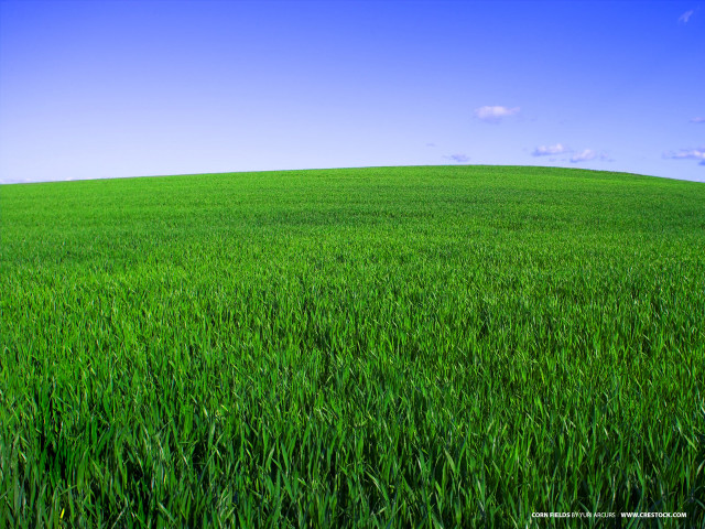 Green grass blue sky clouds #17 free wallpaper for desktop - medium preview image