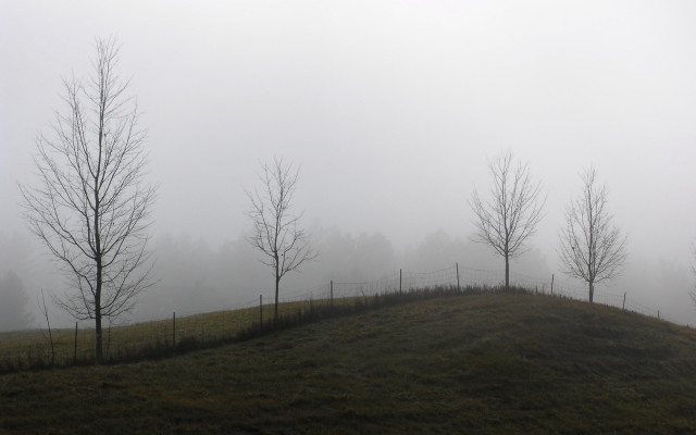 Grassy hill trees fog fence free wallpaper for desktop - medium preview image