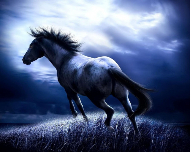 Horse running field moon clouds free wallpaper for desktop - medium preview image
