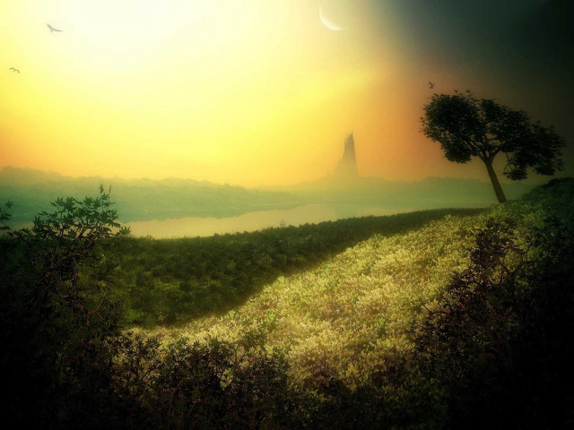 Sunset tree hill bird flying #3 free wallpaper for desktop - medium preview image