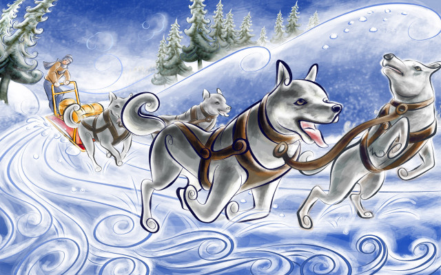 Dog sled three dogs riding #2 free wallpaper for desktop - medium preview image