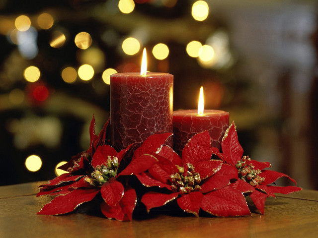 Candle poinsettia table christmas tree #4 free wallpaper for desktop - medium preview image