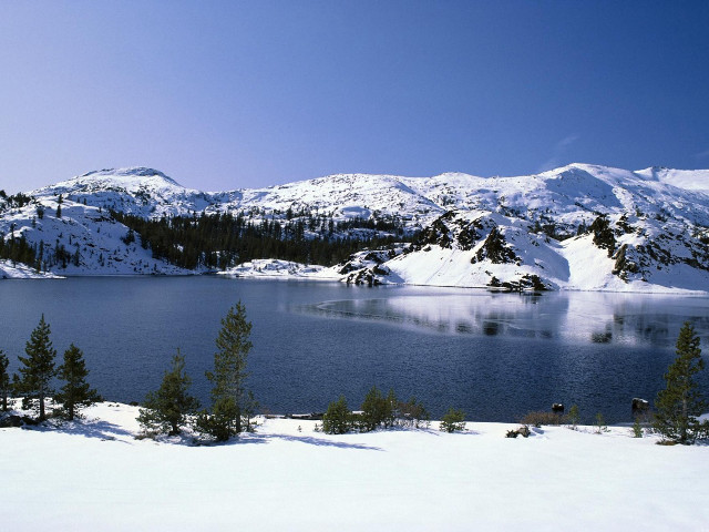 Lake snow mountains trees blue #8 free wallpaper for desktop - medium preview image