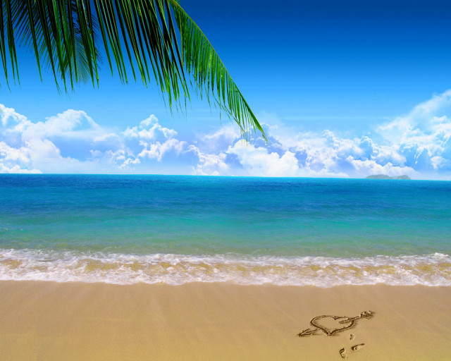 Palm tree beach heart sand #3 free wallpaper for desktop - medium preview image