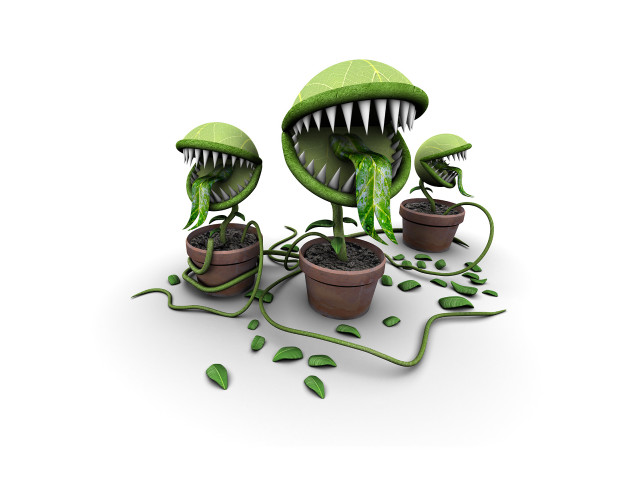 Plants with mouths and teeth free wallpaper for desktop - medium preview image