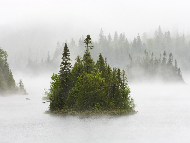 Small island lake trees foggy free wallpaper for desktop - medium preview image