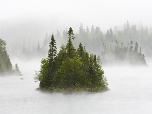 Small island lake trees foggy #5 free wallpaper for desktop - medium preview image