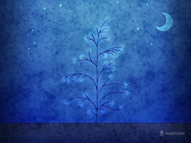Blue background plant moon stars #3 free wallpaper for desktop - medium preview image