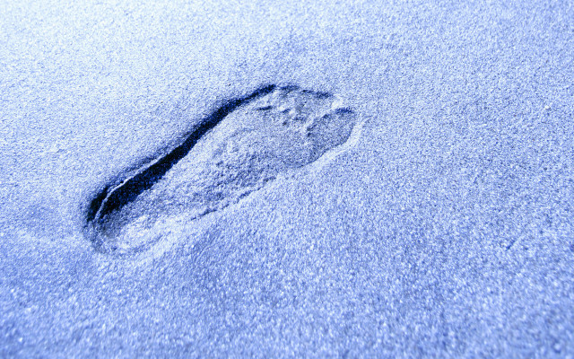 Footprint snow sunny day blue #2 free wallpaper for desktop - medium preview image