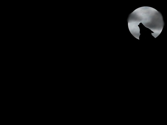 Wolf fullmoon gothic matte grey free wallpaper for desktop - medium preview image