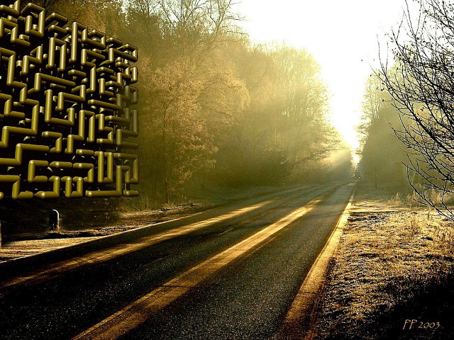 Road yellow sign trees background free wallpaper for desktop - medium preview image