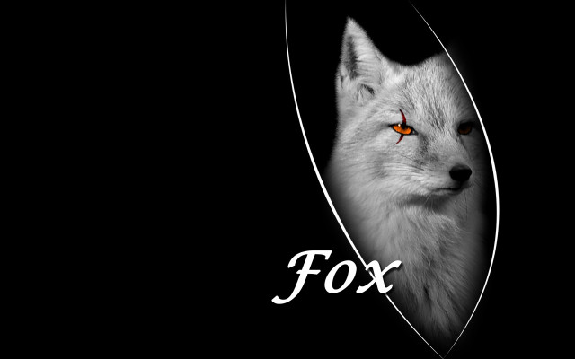 White fox orange eyes black #3 free wallpaper for desktop - medium preview image