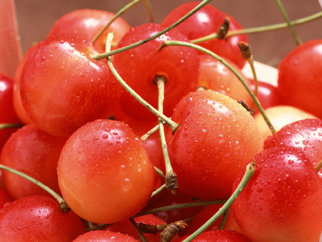 Cherries water droplets table stems free wallpaper for desktop - medium preview image