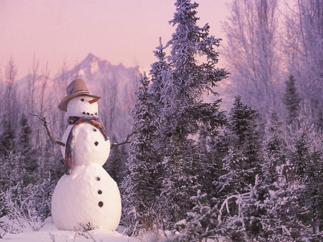 Snowman hat scarf snow forest free wallpaper for desktop - medium preview image